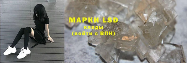 шишки Горнозаводск