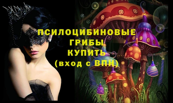 spice Горно-Алтайск