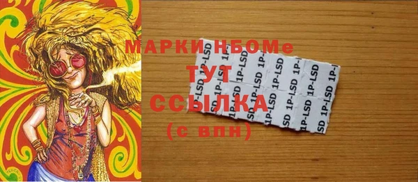шишки Горнозаводск