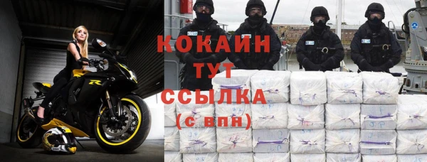 шишки Горнозаводск