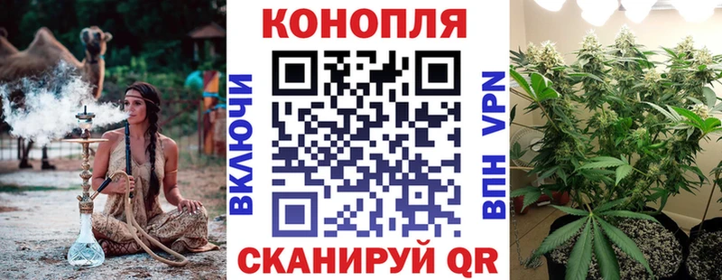 mega   Рязань  Каннабис сатива 